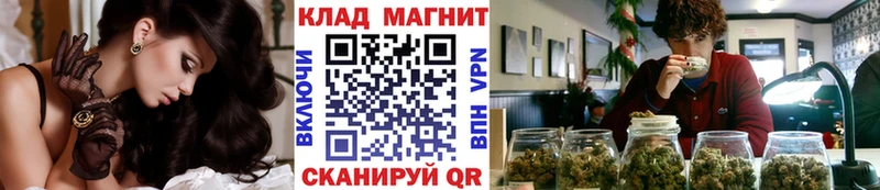 Виды наркоты Краснотурьинск Кокаин  Псилоцибиновые грибы  ГАШ 